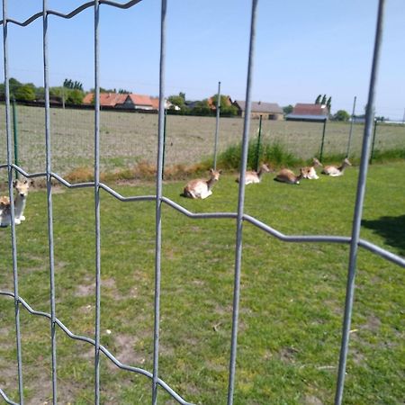 Pensjonat De Lekkermond Diksmuide Zewnętrze zdjęcie