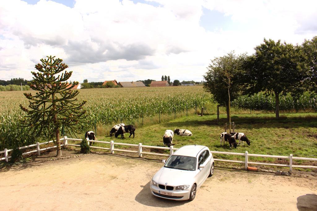 Pensjonat De Lekkermond Diksmuide Pokój zdjęcie
