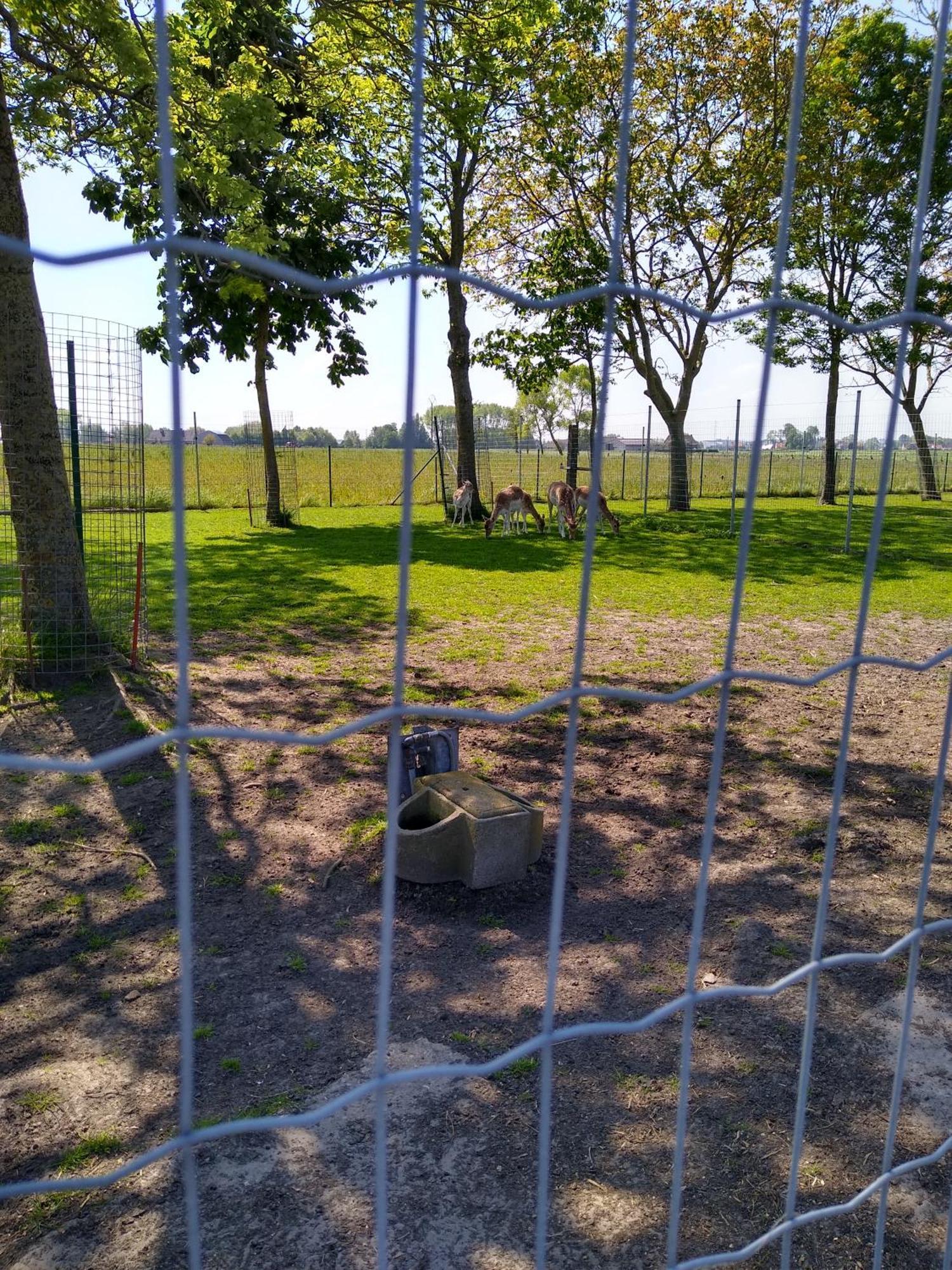 Pensjonat De Lekkermond Diksmuide Zewnętrze zdjęcie