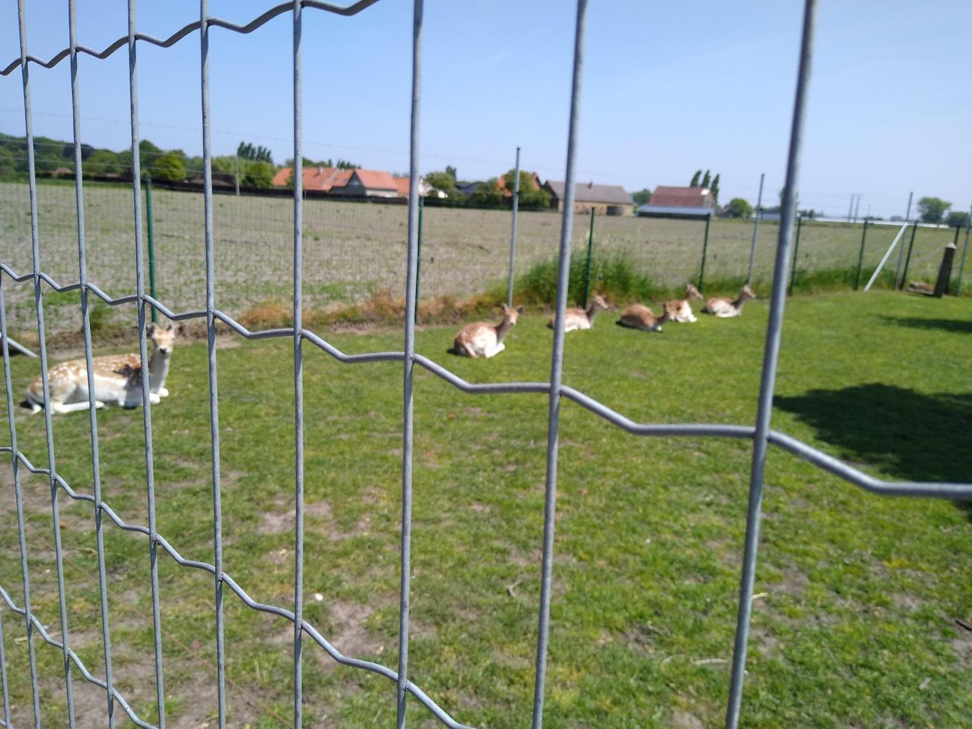 Pensjonat De Lekkermond Diksmuide Zewnętrze zdjęcie