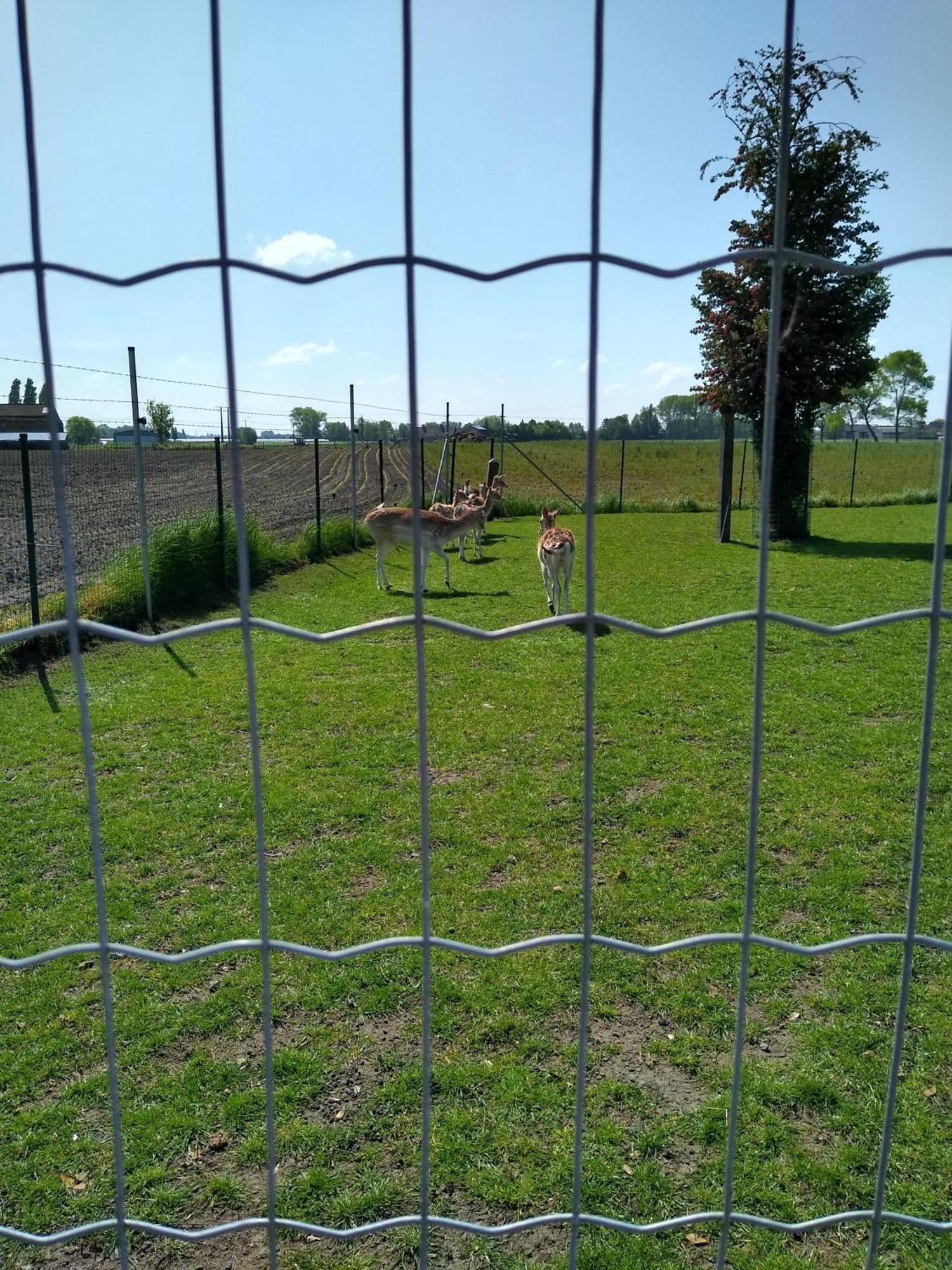 Pensjonat De Lekkermond Diksmuide Zewnętrze zdjęcie